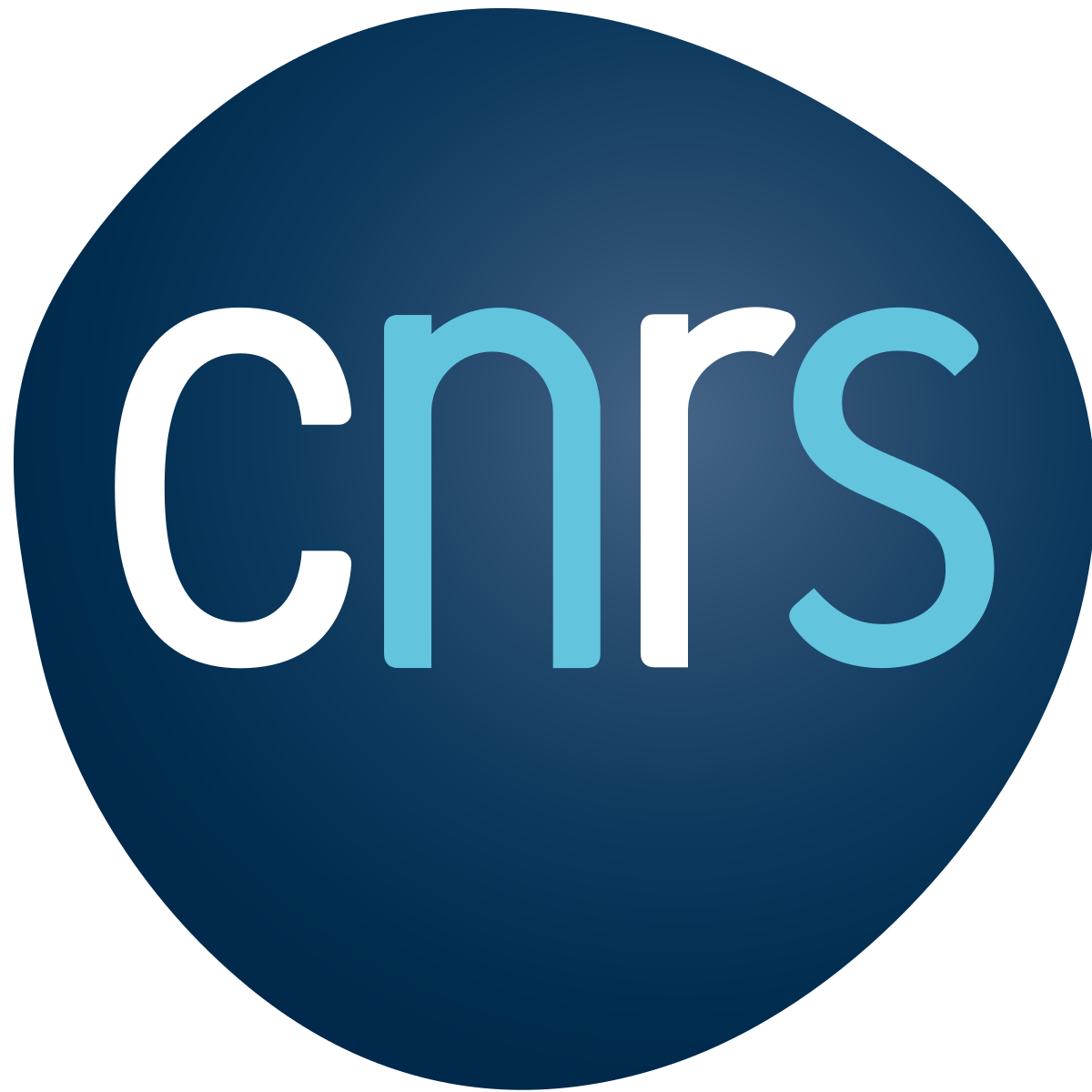 logo-CNRS